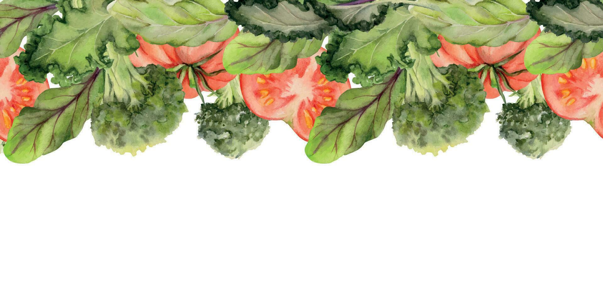 hand- getrokken waterverf groenten en groen salade mengen voor eetpatroon, gezond levensstijl, veganistisch Koken. illustratie naadloos grens geïsoleerd Aan wit achtergrond. ontwerp poster, afdrukken, website, kaart, menu vector