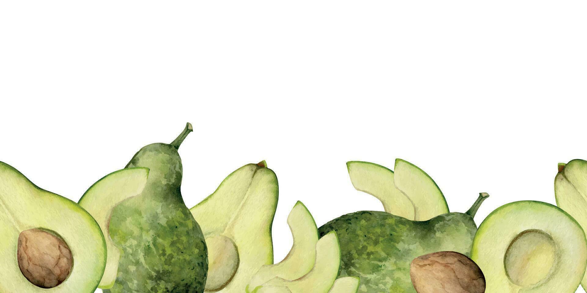 hand- getrokken waterverf gesneden groen avocado groenten voor eetpatroon, gezond levensstijl, veganistisch Koken. illustratie naadloos grens geïsoleerd Aan wit achtergrond. ontwerp poster, afdrukken, website, kaart, menu vector