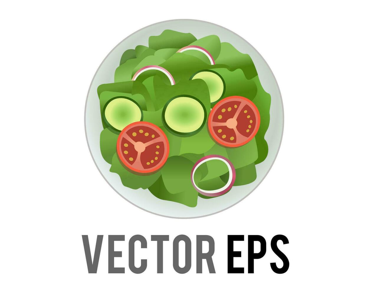 vector groen vers salade voedsel met gesneden rood tomaat, ui voor vegetarisch maaltijd