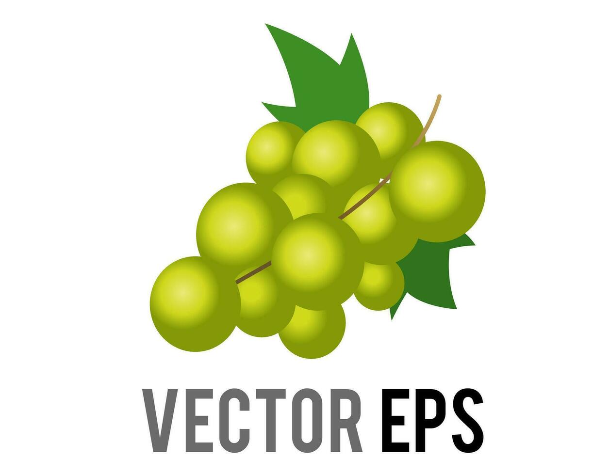 vector fruit helling Purper druiven bundel icoon