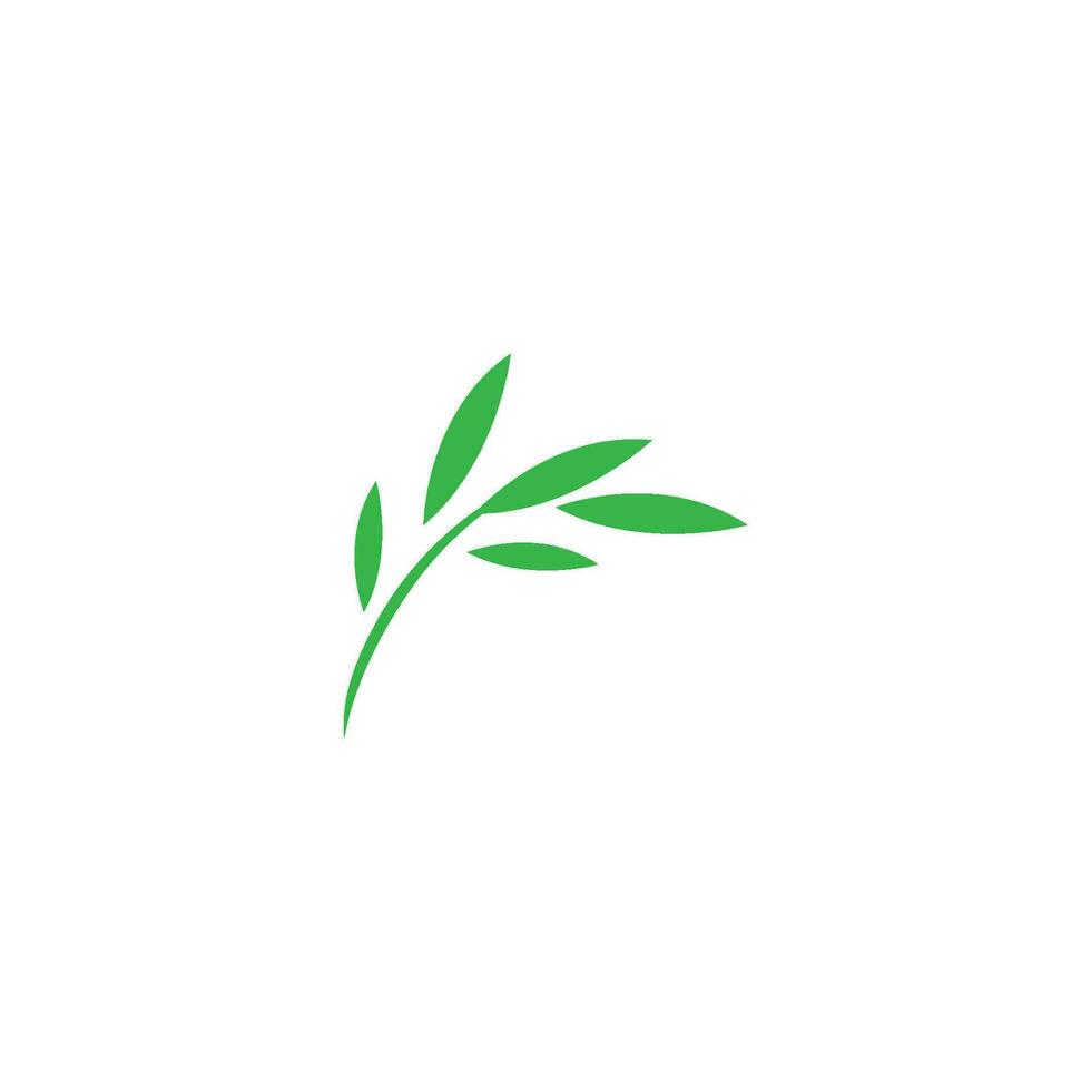 eucalyptus blad ontwerp vector