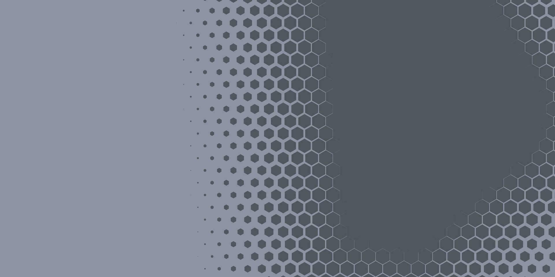 meetkundig abstract zeshoek twee kleur achtergrond vector