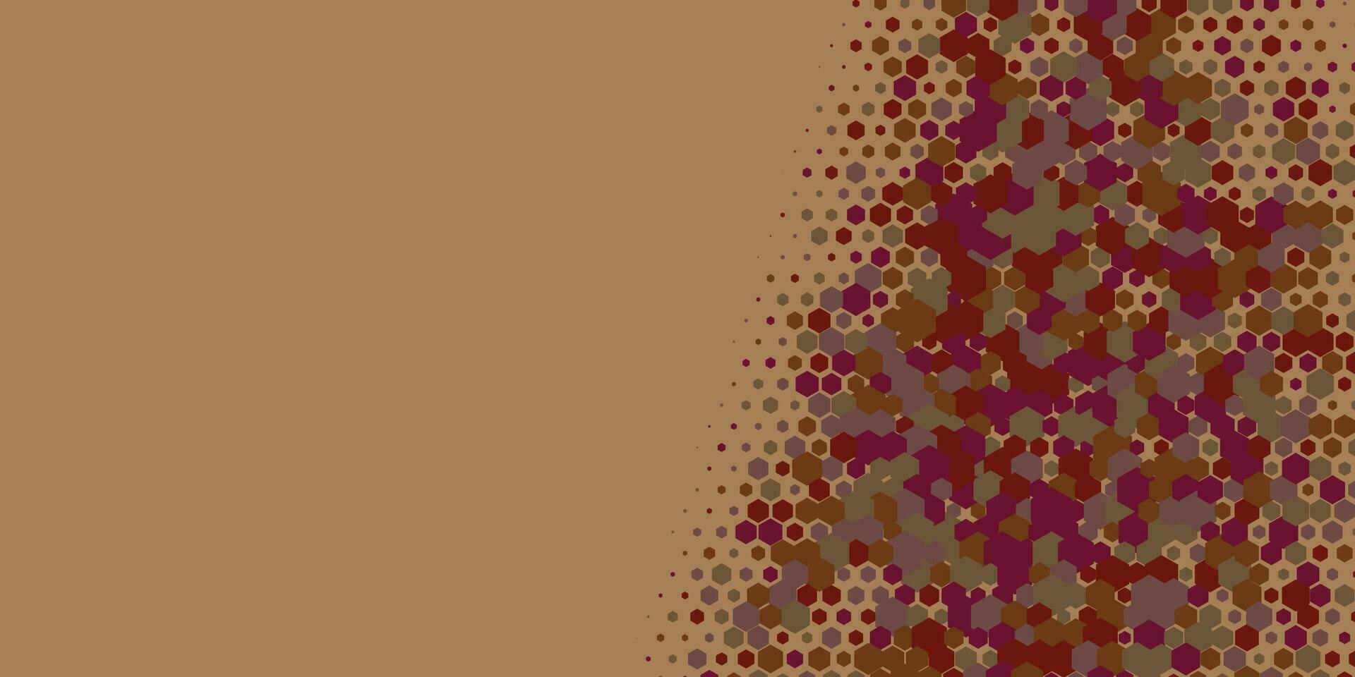 meetkundig abstract zeshoek twee kleur achtergrond vector