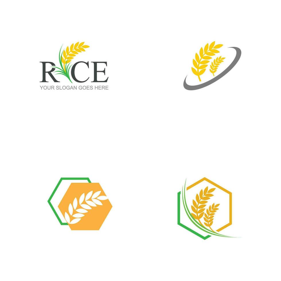 rijst- logo en symbool element vector