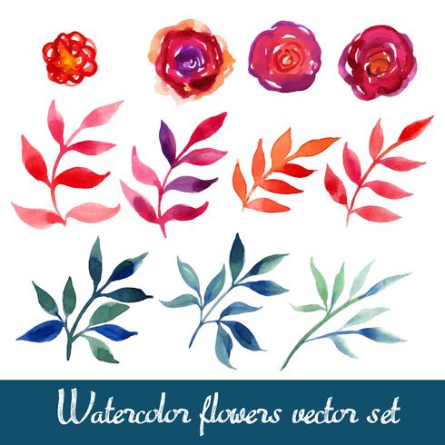 Verzameling van mooie aquarel bloemen vector