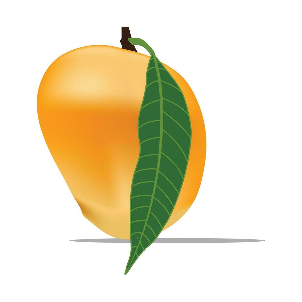 vector heerlijk mango rijp geel, oranje met blad geïsoleerd Aan wit achtergrond