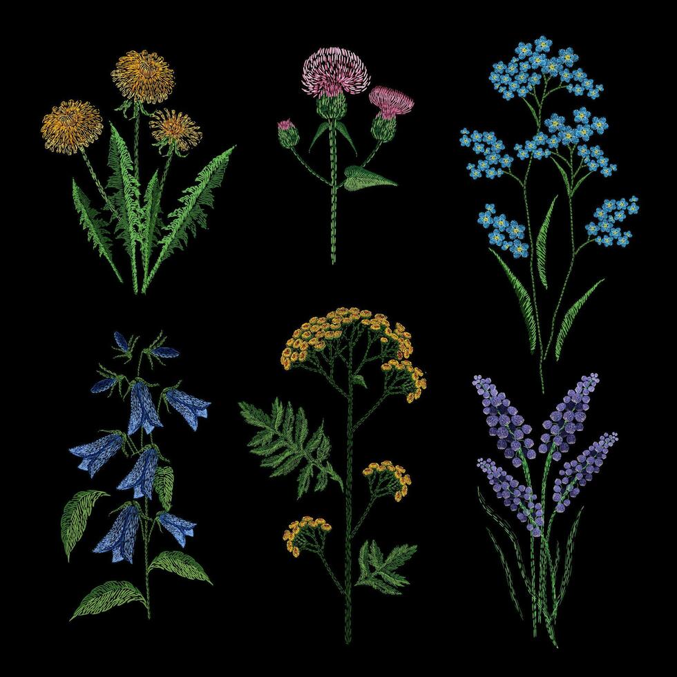 reeks van borduurwerk planten Aan zwart achtergrond. verschillend bloem composities, wilde bloemen. volk lijn modieus patroon voor kleren, jurk, decor. kleurrijk satijn steek bloemen ontwerp vector illustratie.