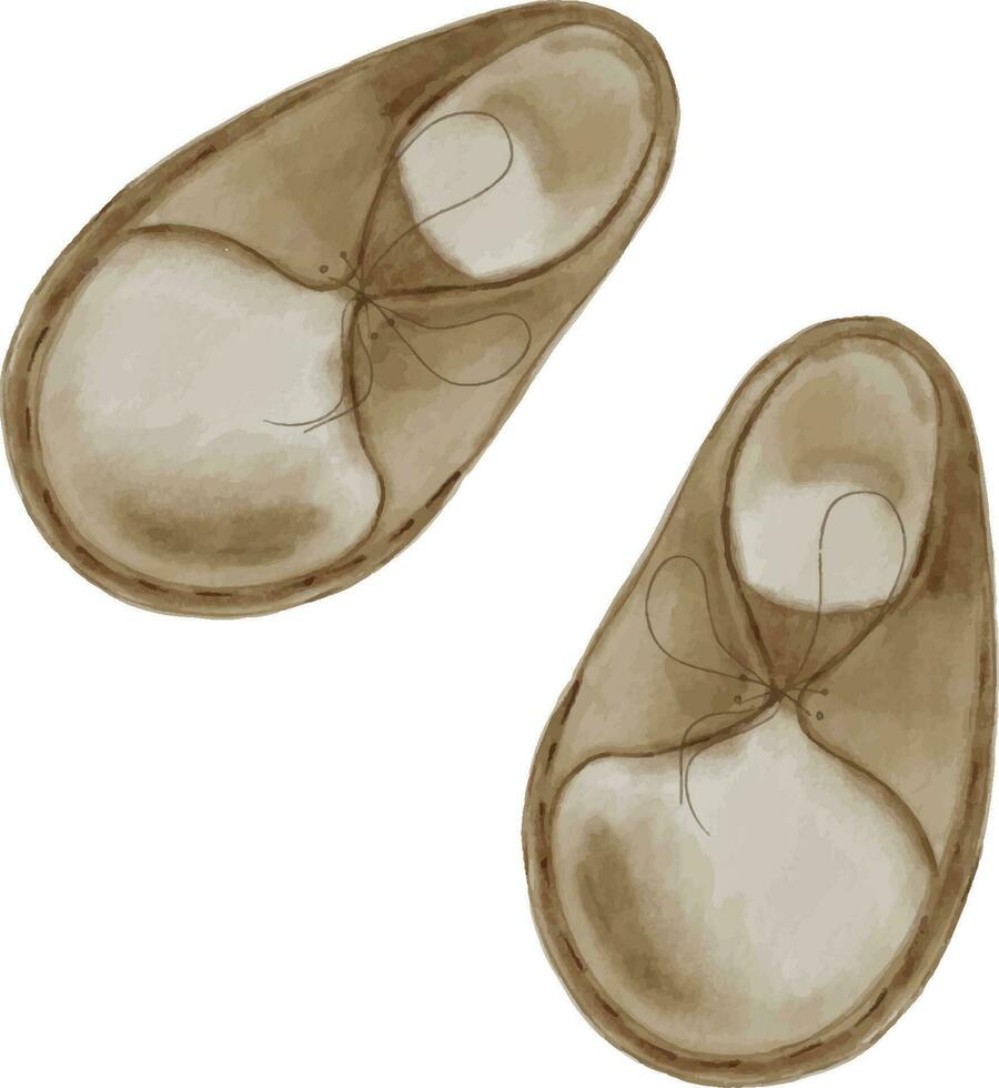 waterverf illustratie reeks met baby schoenen geïsoleerd Aan wit achtergrond. hand- getrokken kleuter laarzen . baby garderobe in pastel tinten. elementen voor kaart, labels, uitnodiging, afdrukken, omhulsel vector