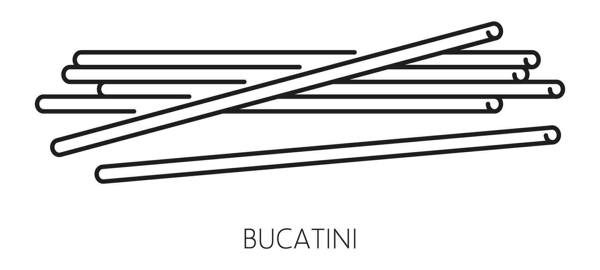 perciatelli dik spaghetti pasta bucatini voedsel vector