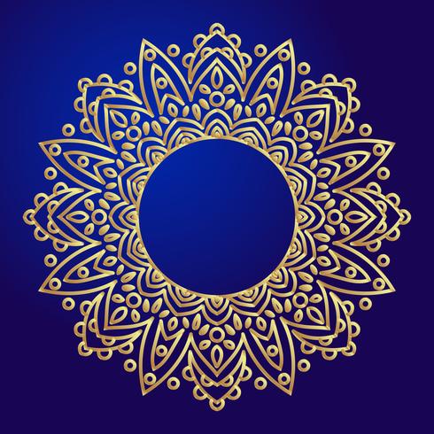 Mandala&#39;s. Etnische decoratieve elementen in een cirkel. vector