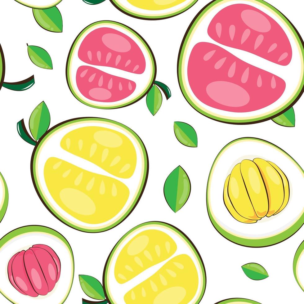 naadloze patroon pomelo. vectorillustratie. vector