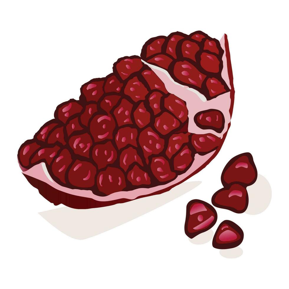 vector illustratie van granaatappel rijp