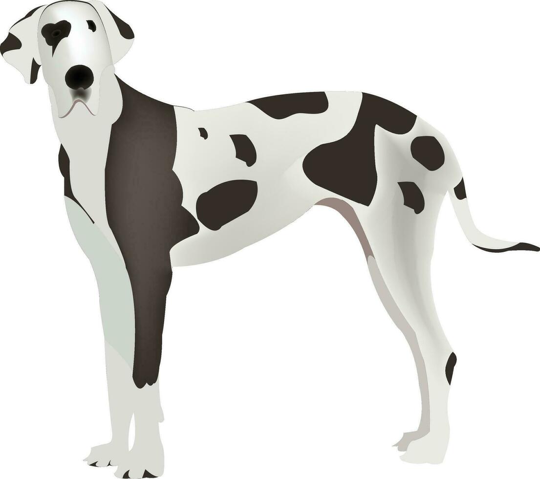 Super goed dane hond ras dier vector