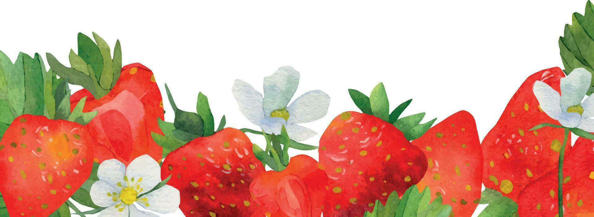 kader van rood aardbeien met groen bladeren waterverf. wit aardbei bloemen, een tekst kader gemarkeerd Aan een wit achtergrond. zomer bessen, een afdrukken voor het drukken Aan ansichtkaarten vector