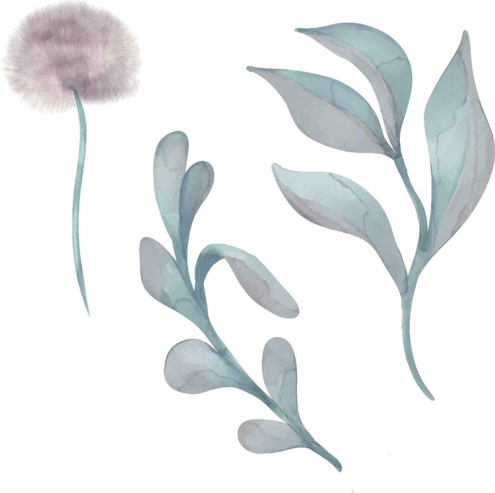 waterverf illustratie met abstract planten voor baby geïsoleerd Aan wit achtergrond. hand- getrokken neutrale bladeren. paardebloem in pastel tinten. bloem voor verjaardag ansichtkaart of pasgeboren douche, uitnodiging vector