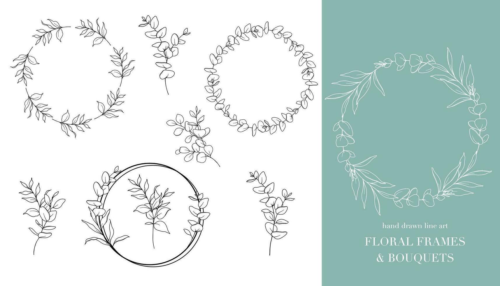 eucalyptus lijn kunst. bloemen kaders en boeketten lijn kunst. prima lijn eucalyptus kaders hand- getrokken illustratie. hand- trek schets bladeren en bloemen. botanisch kleur bladzijde. eucalyptus geïsoleerd vector