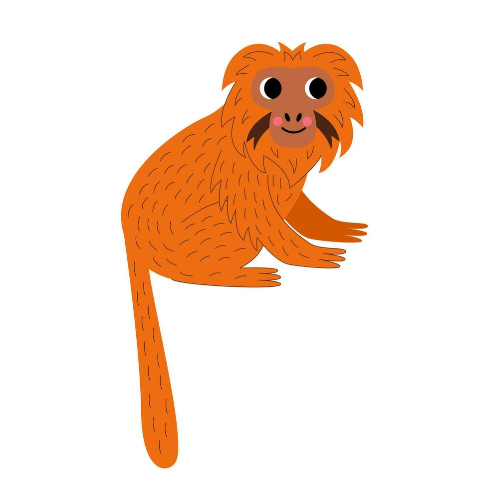 vector illustratie van schattig tekenfilm tamarin geïsoleerd Aan wit achtergrond.