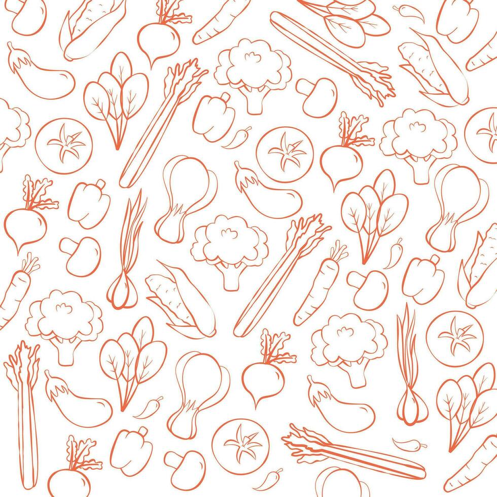 hand- getrokken groenten illustratie, lijn tekening van groenten vector