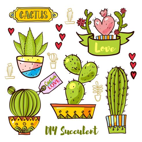 Cactussen en vetplanten in potten. vector