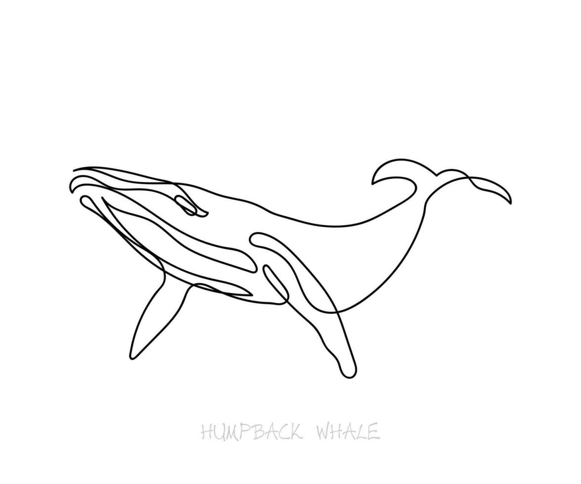 lijn kunst van gebochelde walvis. februari is gebochelde walvis bewustzijn maand vector