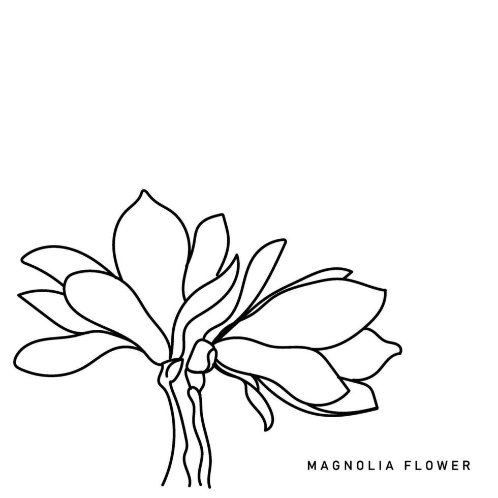 lijn kunst vector van magnolia bloem.
