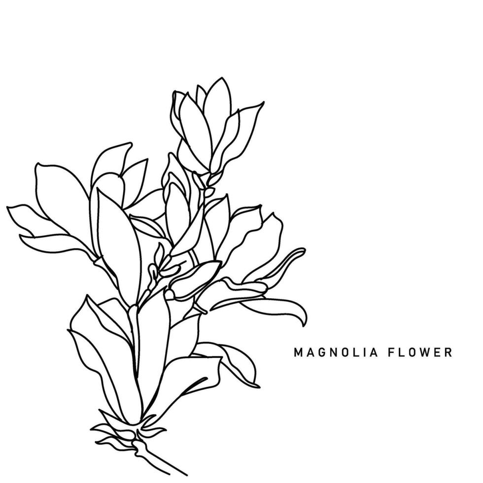 lijn kunst vector van magnolia bloem.