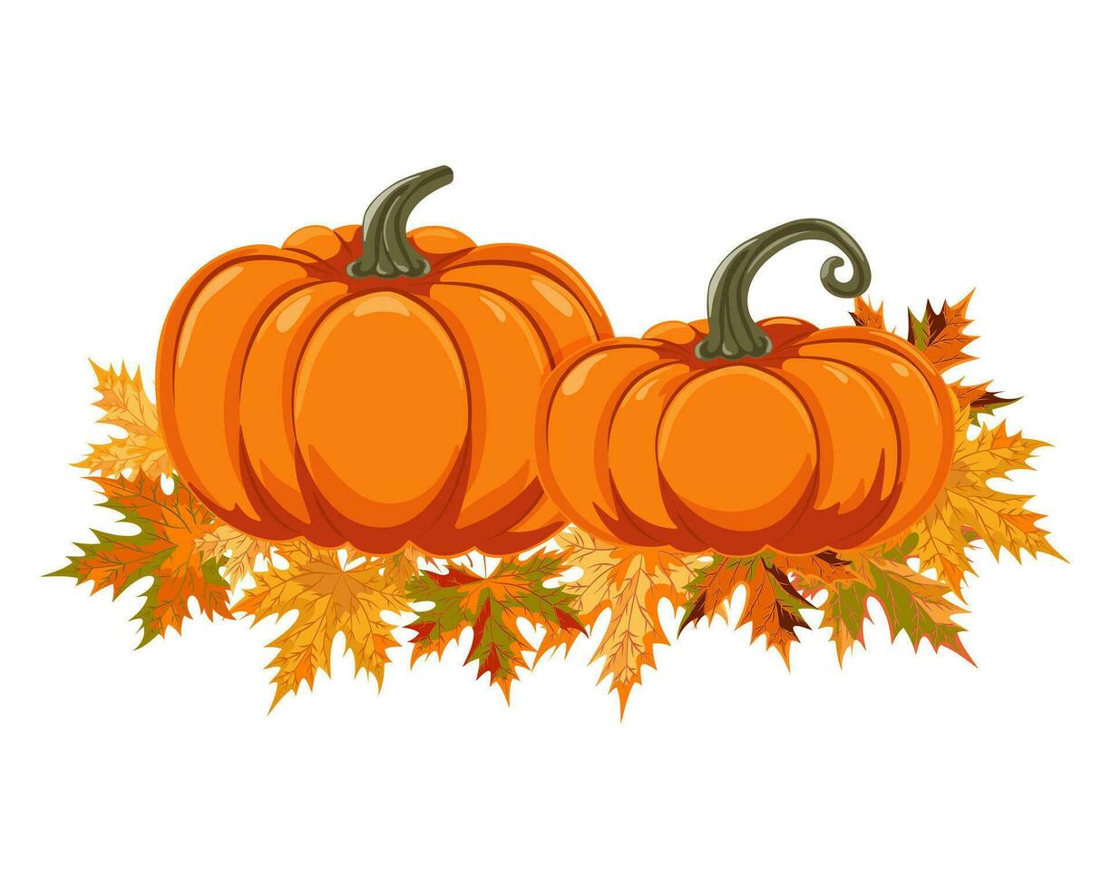 twee herfst oranje pompoenen in een tekenfilm stijl staan Aan herfst esdoorn- bladeren. ontwerp element voor halloween, dankzegging, oogst festival. dieet groente. vector illustratie.