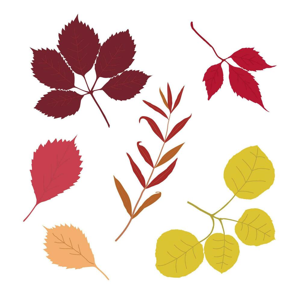 reeks van gestileerde boom bladeren. verzameling van vallend herfst bladeren. vector illustratie van hand- getrokken planten met lijnen. tekening blad.