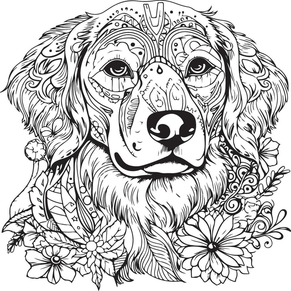 retriever lichaam kleur bladzijde vector