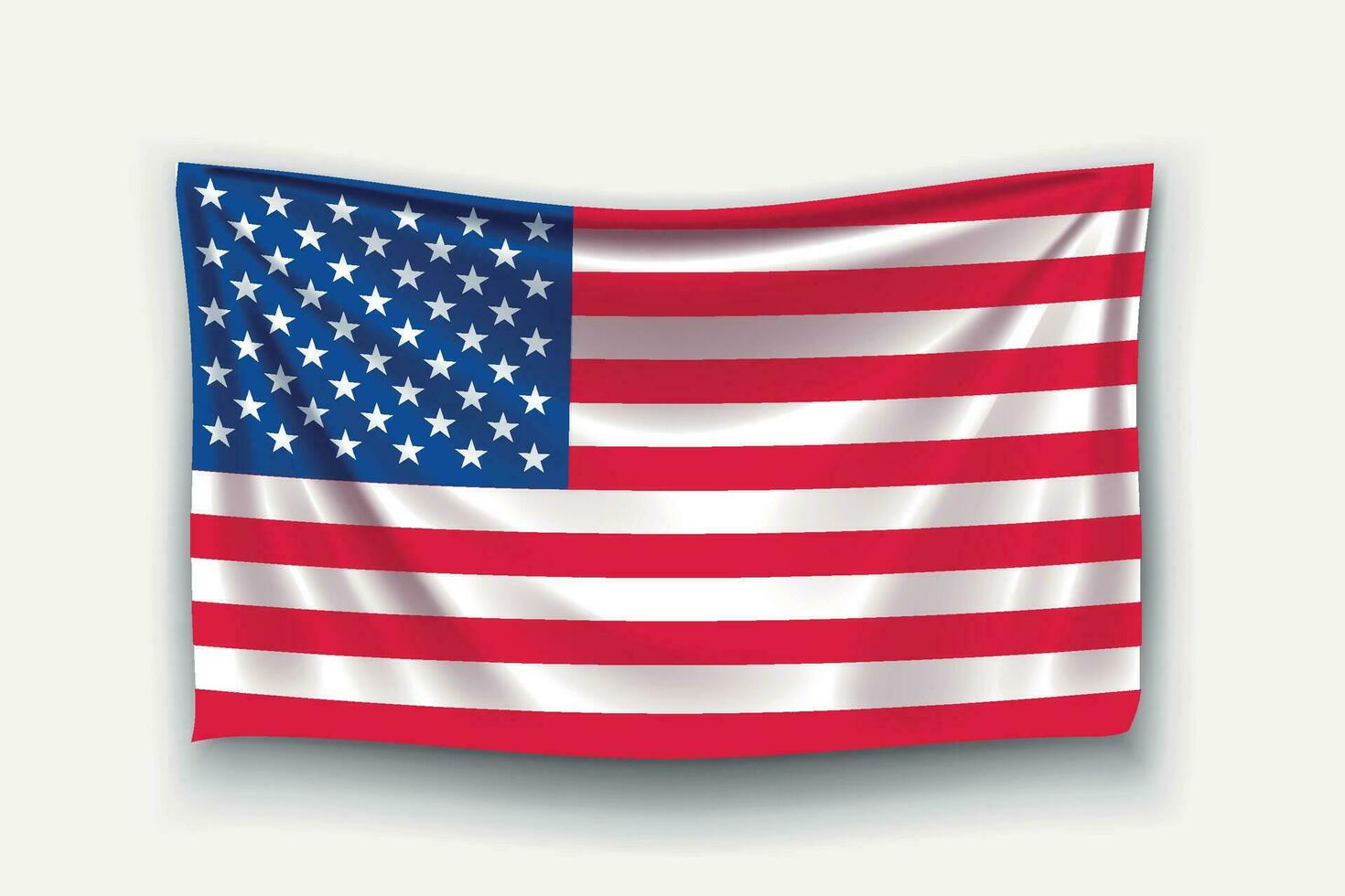 vlag van de VS. vector