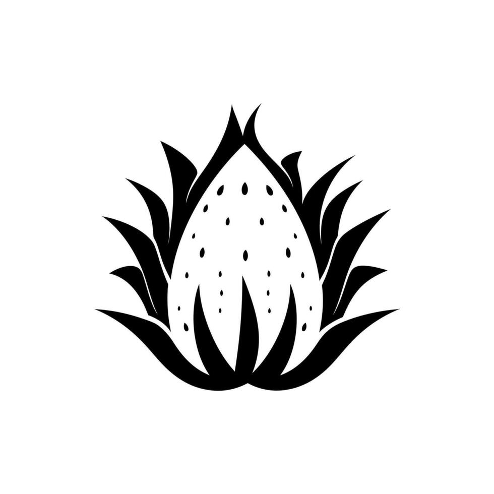 draak fruit icoon geïsoleerd Aan wit achtergrond vector
