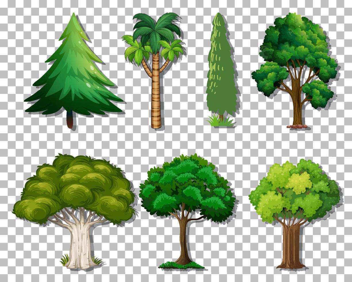 set van verschillende bomen vector