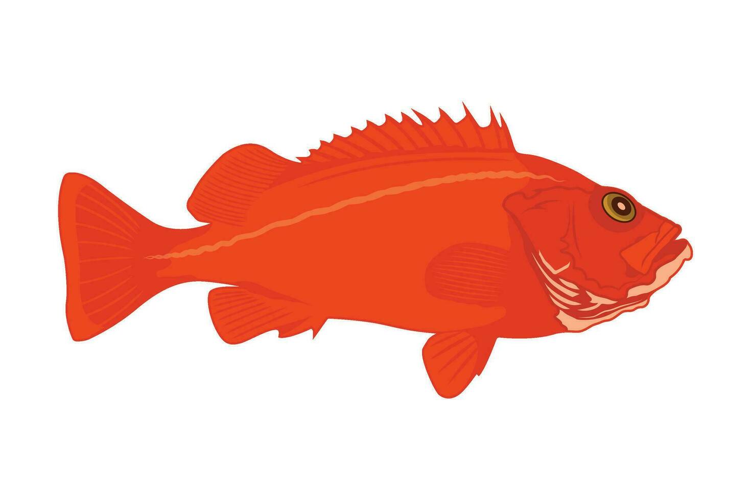 rood vis Aan wit achtergrond vector illustratie