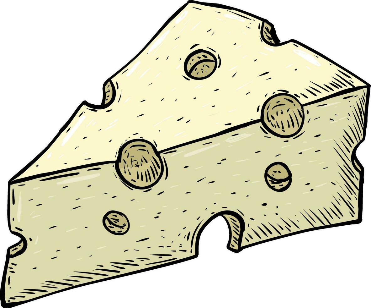 hand getekend van kaas Aan wit vector