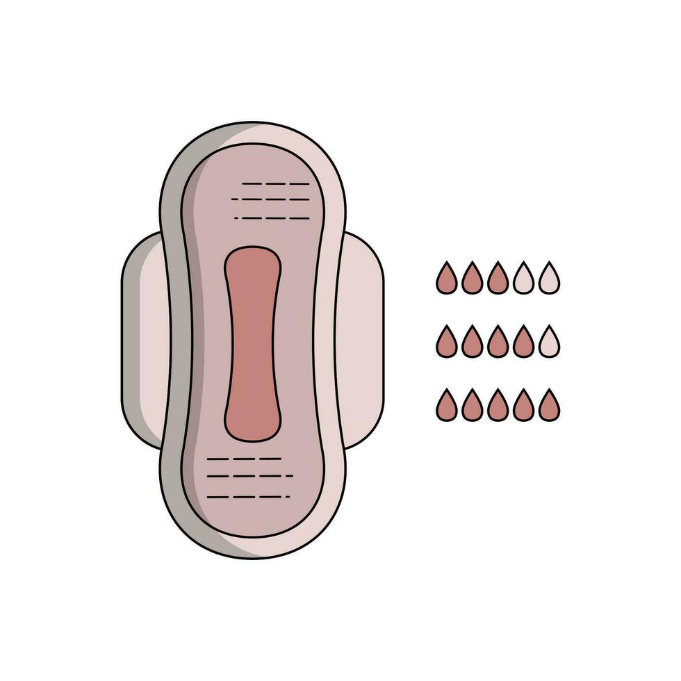 vrouwen menstruatie en stootkussens lineal illustratie vector