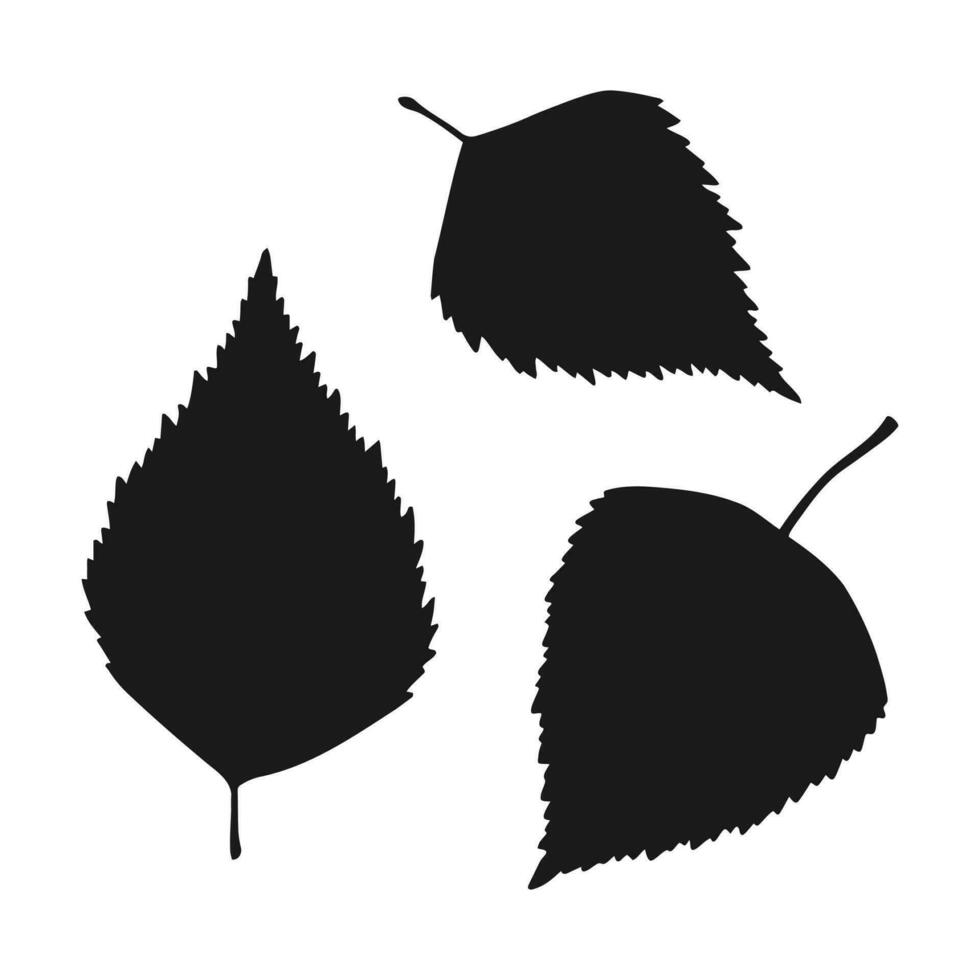 reeks met silhouet berk blad. hand- getrokken herfst vector illustratie.