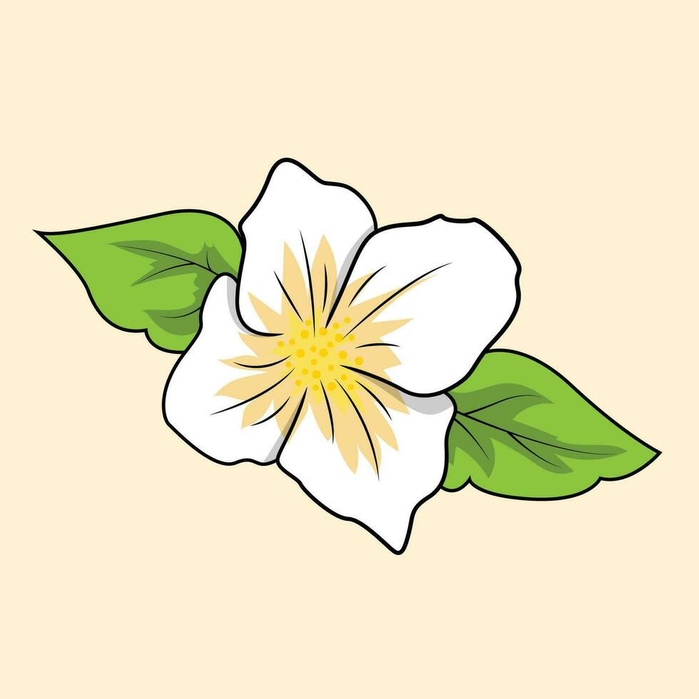 jasmijn bloem de illustratie vector