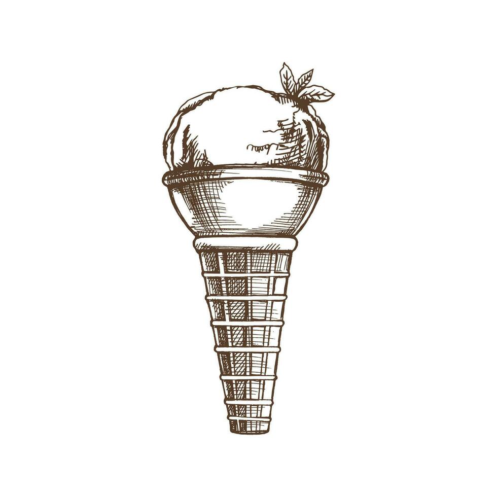 een hand getekend schetsen van een wafel ijshoorntje met bevroren yoghurt of ijs room met munt bladeren. wijnoogst illustratie. element voor de ontwerp van etiketten, verpakking en ansichtkaarten. vector