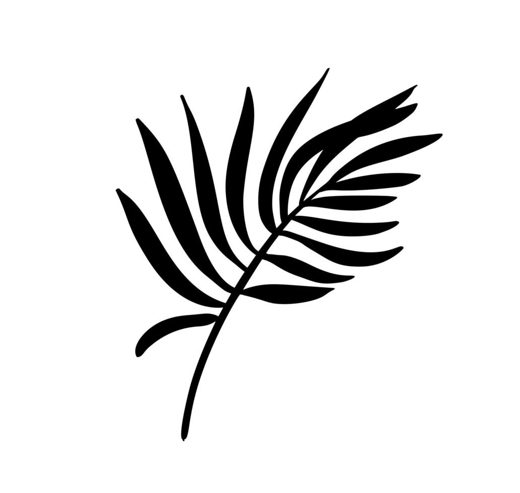 moderne abstracte vectorillustratie palm blad. zwart-wit silhouet. geïsoleerde exotische jungle hedendaagse trendy illustratie. perfect voor boho-posters, instagram-berichten, stickers vector