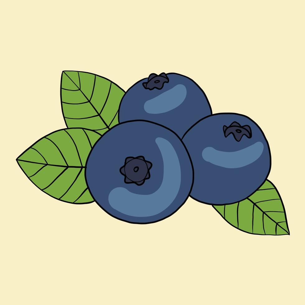 doodle uit de vrije hand schets tekening van bosbessen fruit. vector