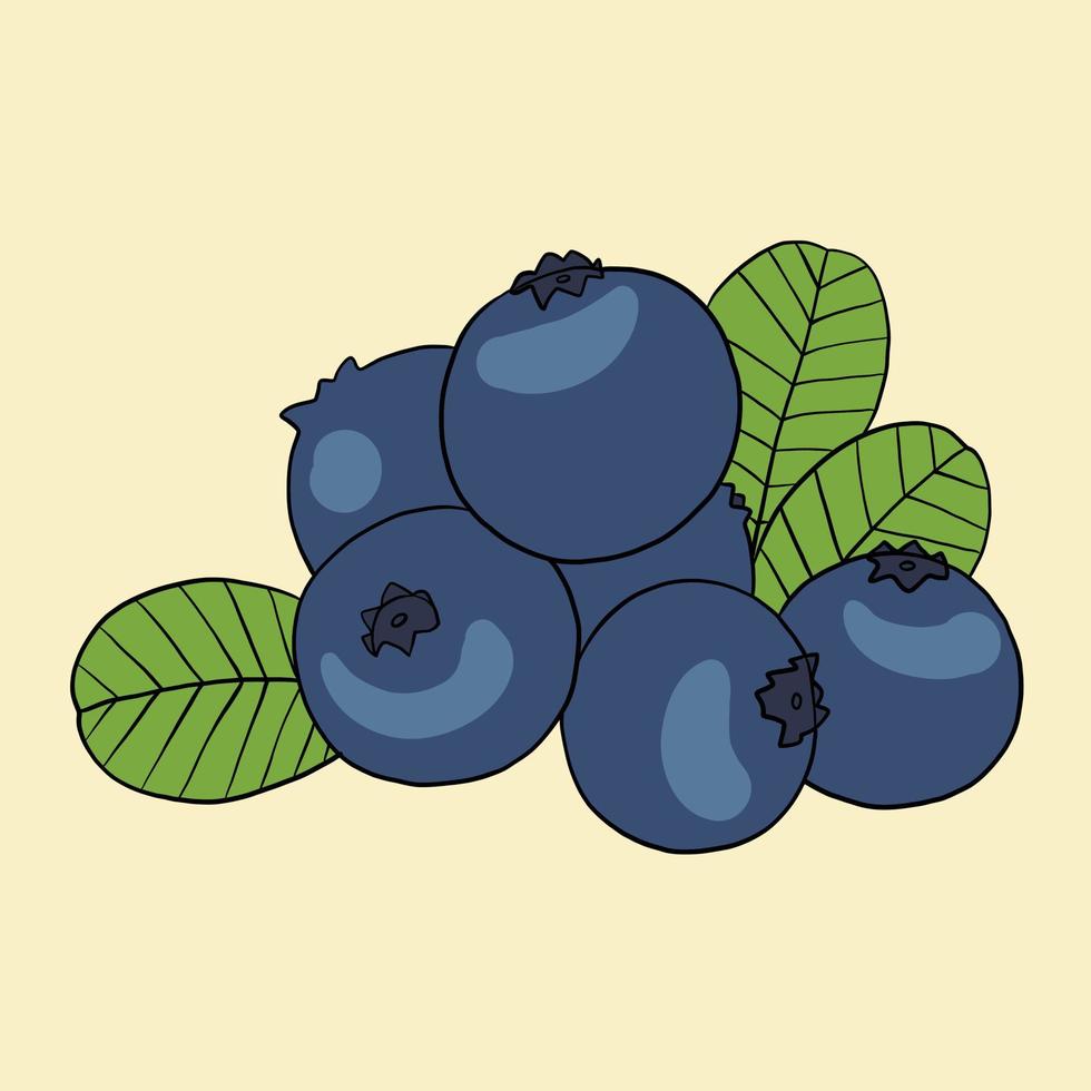 doodle uit de vrije hand schets tekening van bosbessen fruit. vector