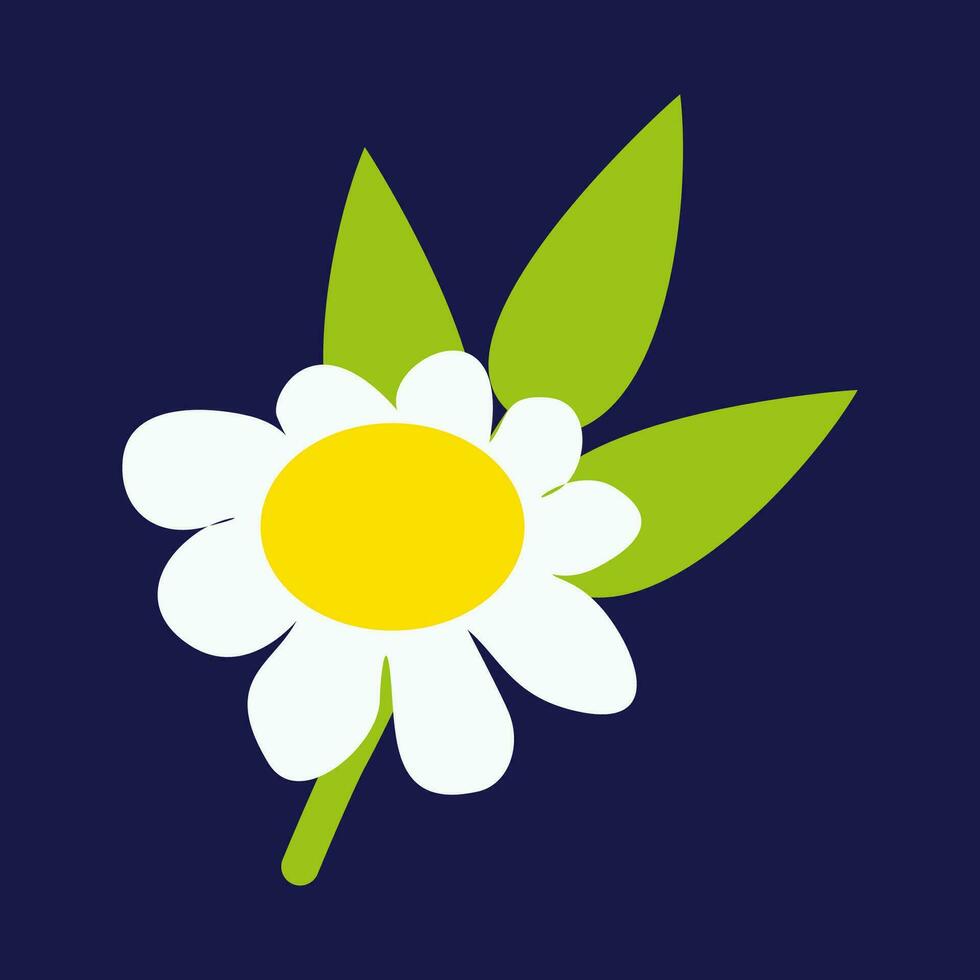 kamille bloem met blad en stam geïsoleerd Aan donker achtergrond. vlak stijl bloemen element voor logo ontwerp, kaart, decoratie en ieder doeleinden. tekenfilm illustratie met wit kamille en bladeren vector