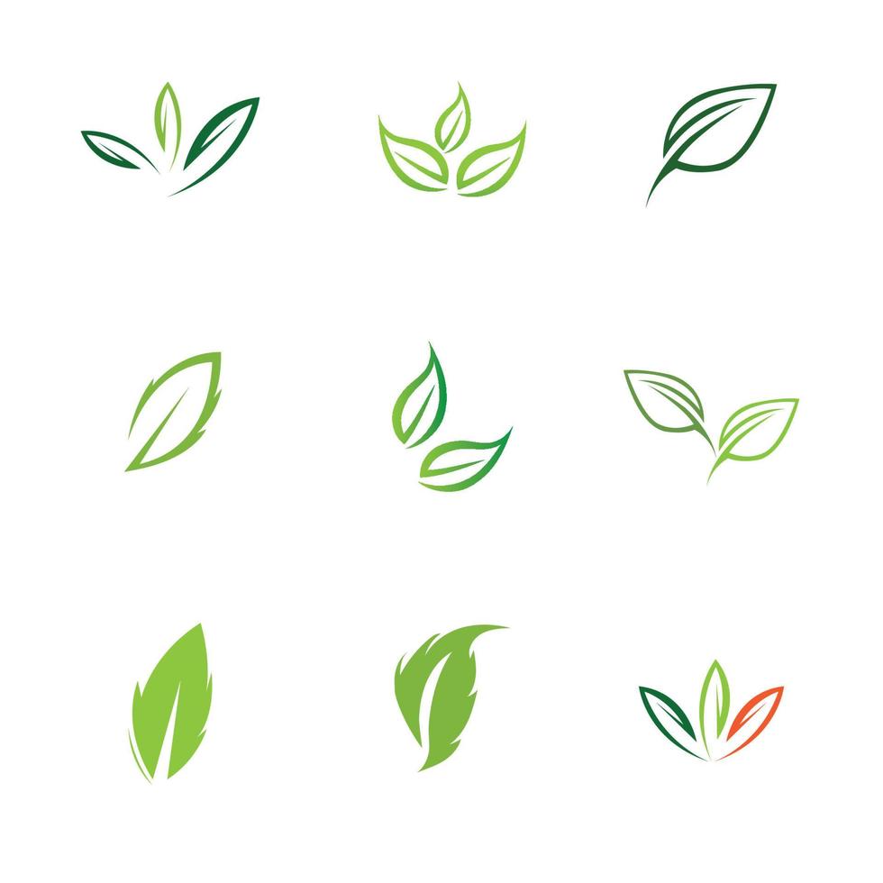 logo's van groen blad ecologie natuur element vector