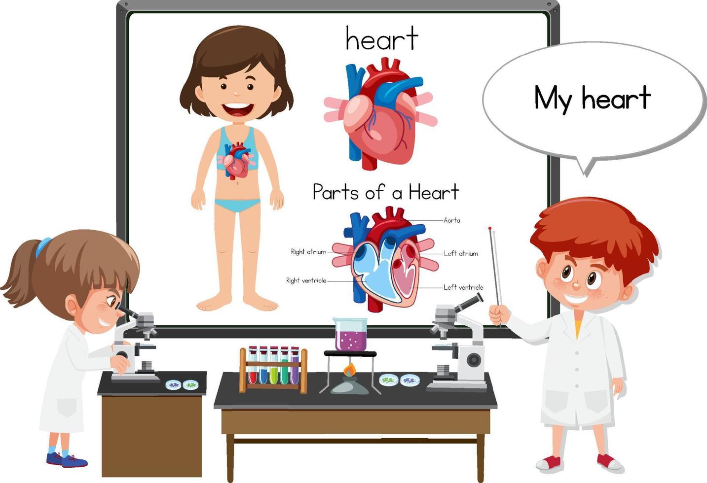 jonge dokter die de anatomie van het hart uitlegt vector
