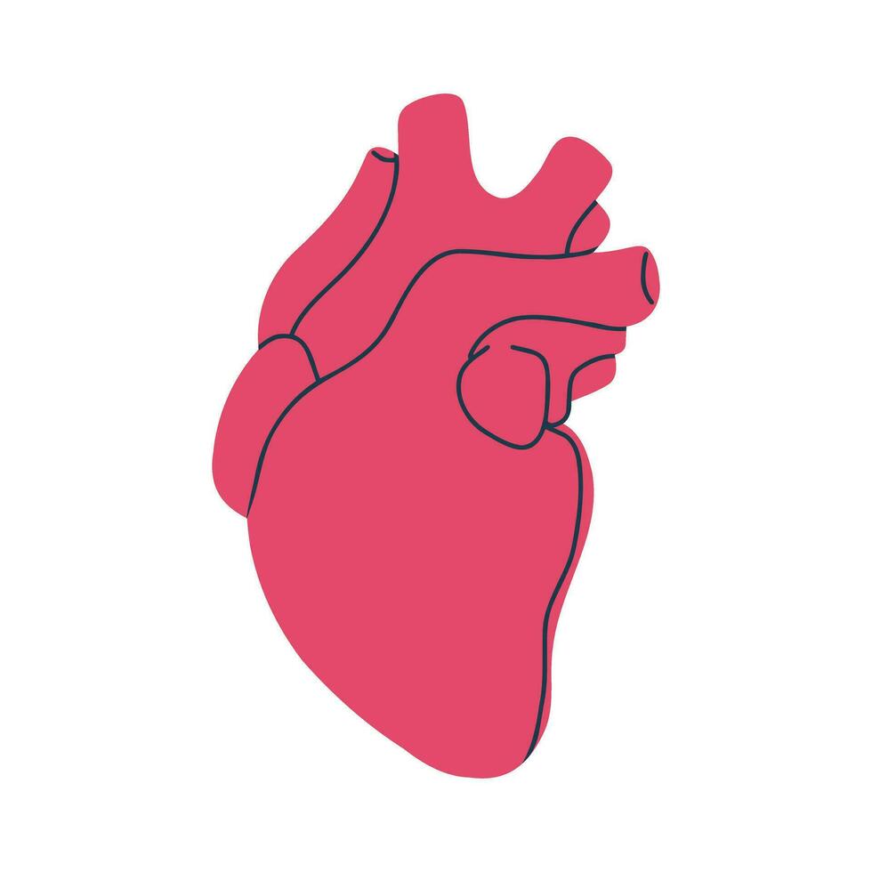 menselijk hart. ontwerp element. hand- getrokken vector illustratie in vlak stijl. logo, icoon, afdrukken sjabloon.