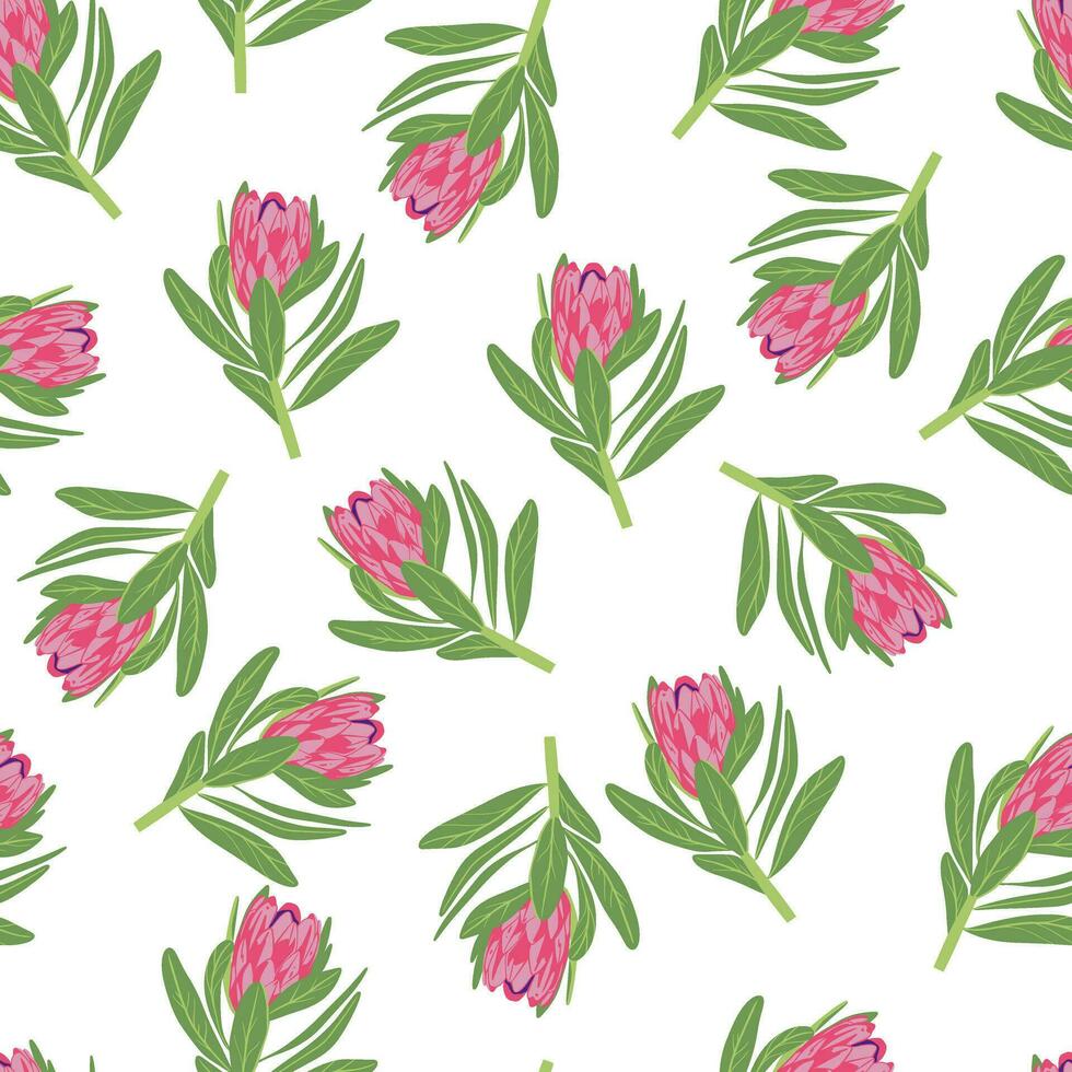 protea bloemen patroon. naadloos bloemen achtergrond. herhalen botanisch afdrukken met bloei voor behang en inpakken. delicaat flora textuur. gekleurde vlak vector illustratie