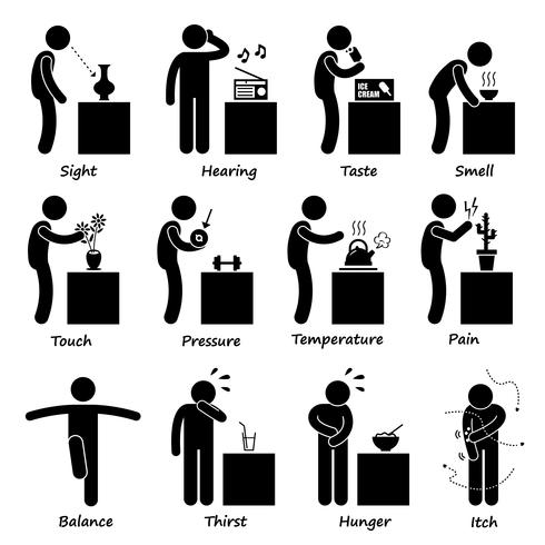 Menselijke zintuigen stok figuur Pictogram pictogrammen. vector