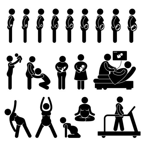 Zwangere zwangerschapsstadia proces Prenatale ontwikkeling Moeder Baby oefening stok figuur Pictogram pictogram. vector