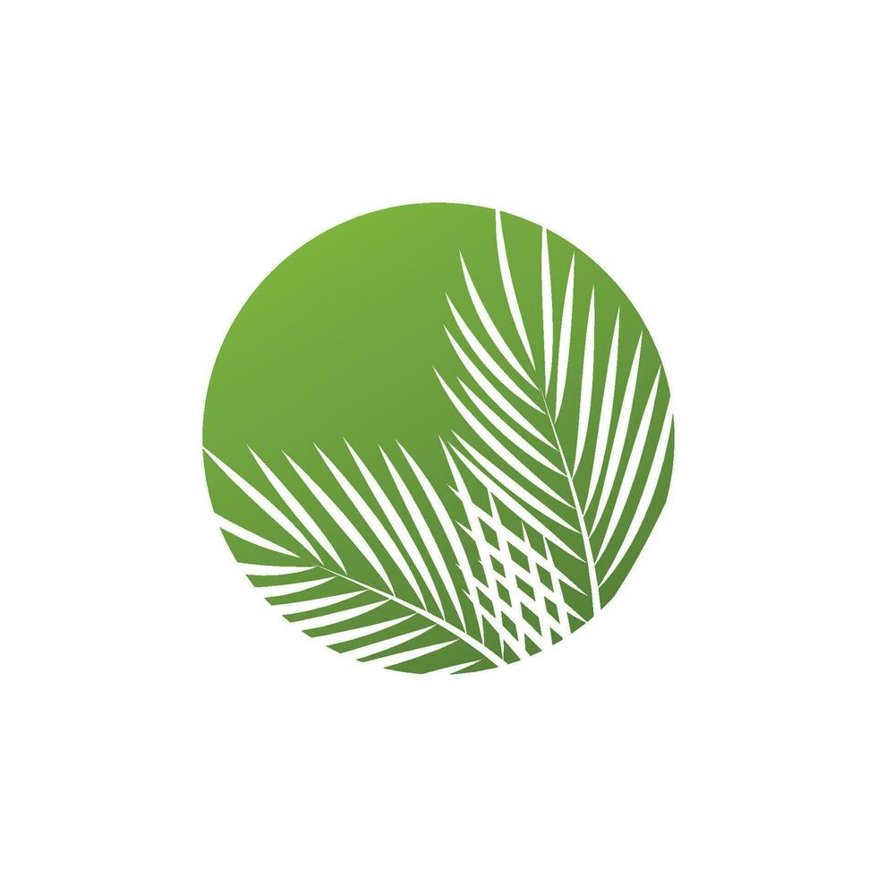 blad palm logo vector sjabloon symbool en ontwerp