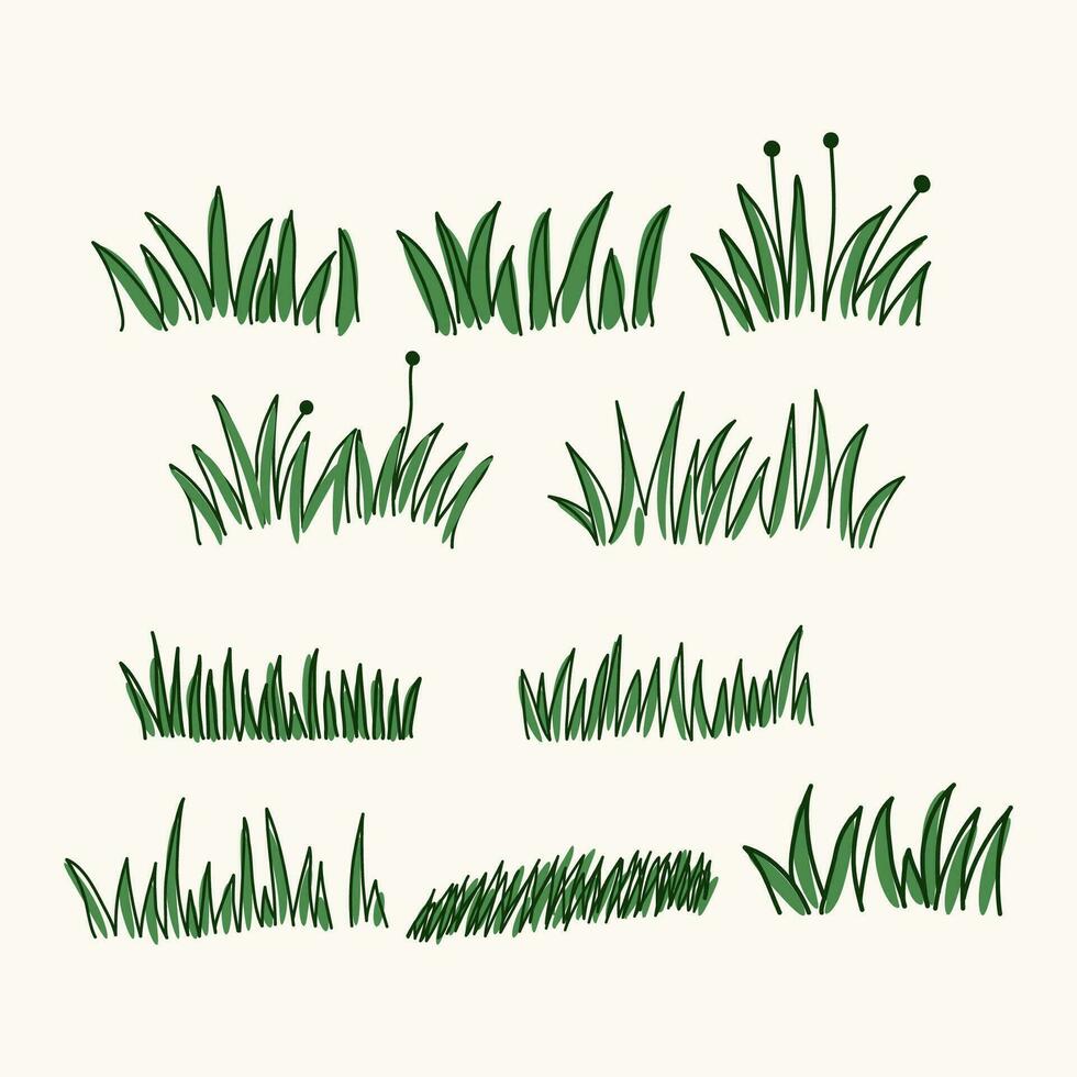 hand- getrokken groen gras illustrator vector verzameling